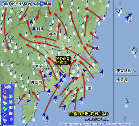 熱帯低気圧と盆の天気、猛暑、今日の雷雨(8月10日)