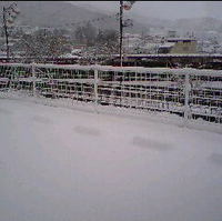 今日は