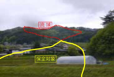 対象域