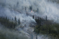 アラスカの山火事