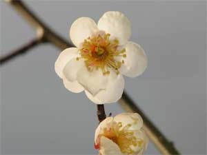 ・春の陽気に誘われて