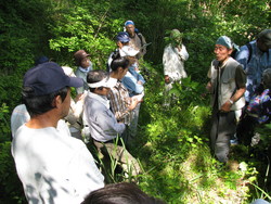 林に入って、樹木の説明をする島崎氏