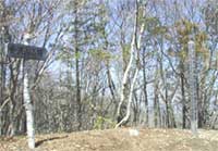 桑澤山山頂