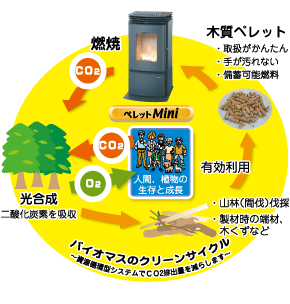楽天 ニッチリッチより