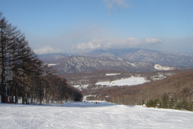 日本スキー発祥100周年の記念日です☆