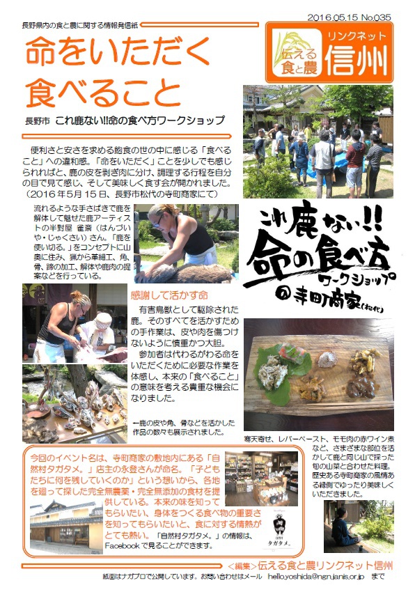 これ鹿ない これ鹿ない