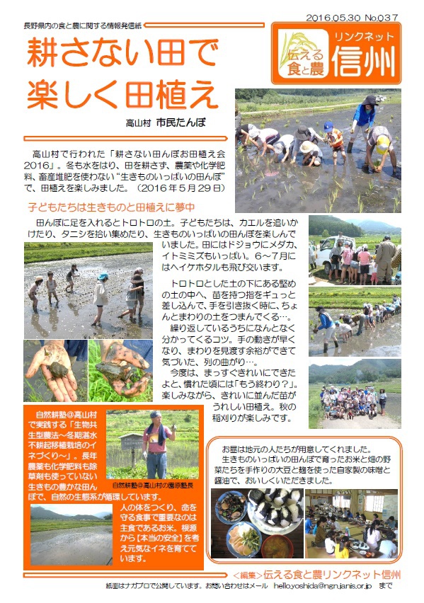 耕さない田で楽しく田植え 耕さない田で楽しく田植え