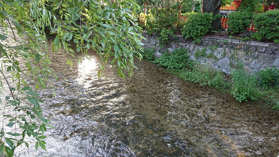 京都編 続きです 京都編 続きです