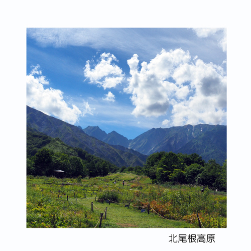 白馬村 白馬村