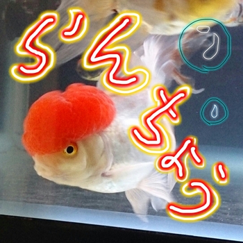 いいね!!