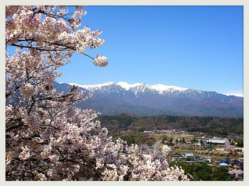 日本三大名所....spring☆