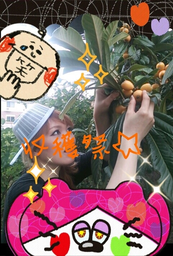 うちの庭…