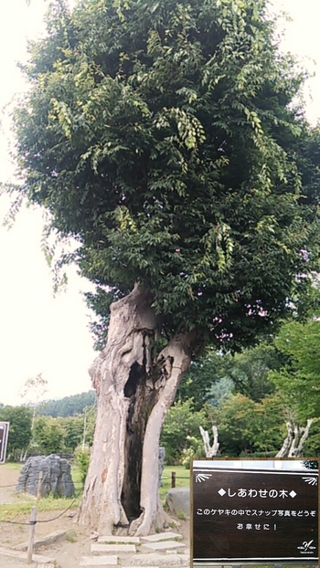 山梨にドライブ♪