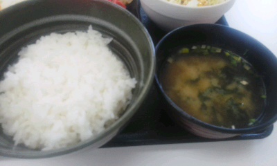 「吉野家」豚生姜焼き定食+生野菜サラダ