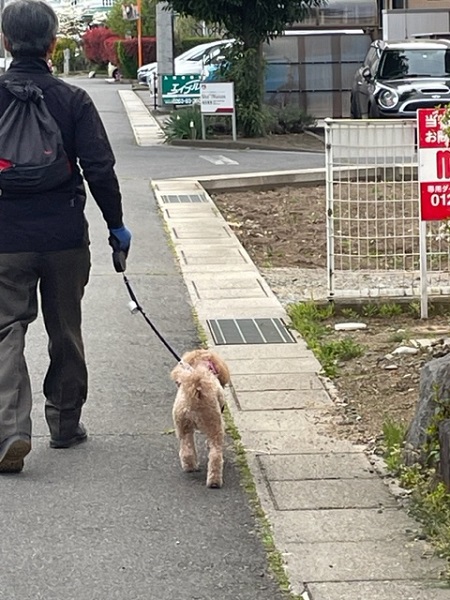 生活サイクルの変化 の巻 生活サイクルの変化 の巻