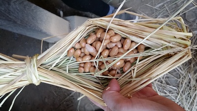 手作り信州味噌 長野市松代町 手作り信州味噌 長野市松代町