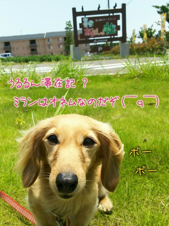 あるるんの杜(もり) あるるんの杜(もり)