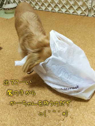シャトレーゼの糖質30%カットスイーツ! シャトレーゼの糖質30%カットスイーツ!