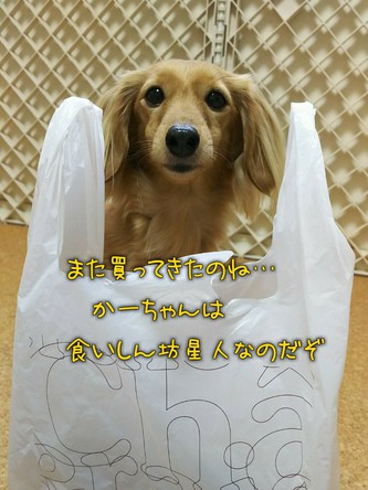 シャトレーゼの糖質30%カットスイーツ! シャトレーゼの糖質30%カットスイーツ!
