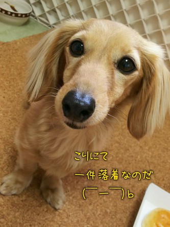 あるるんの杜(もり) あるるんの杜(もり)