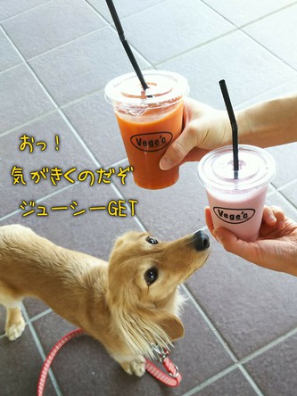 あるるんの杜(もり) あるるんの杜(もり)