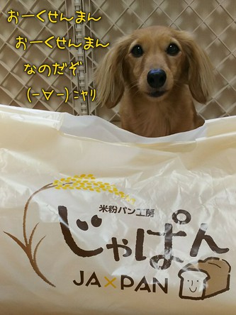 あるるんの杜(もり) あるるんの杜(もり)