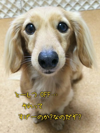 シャトレーゼの糖質30%カットスイーツ! シャトレーゼの糖質30%カットスイーツ!