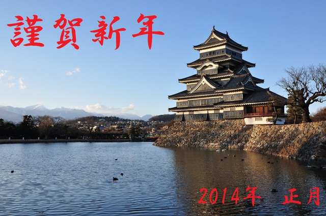2014年 始動