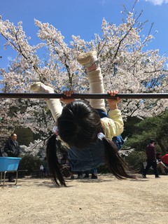なぜまわるのか？そこに鉄棒があるから！
