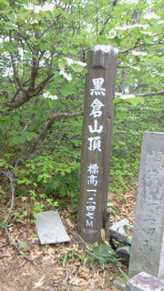 箸休め