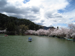 花粉症最終回
