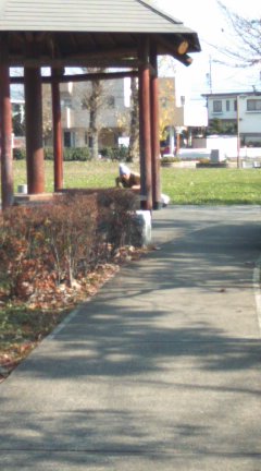 懐かしの公園