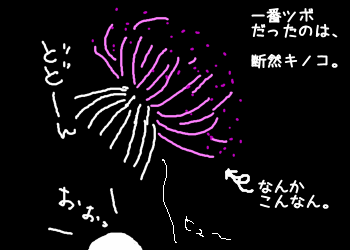 えびす講の花火大会で