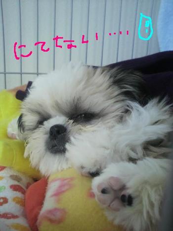 画伯!・・・。