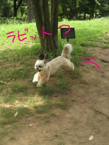 活動的に!・・・。