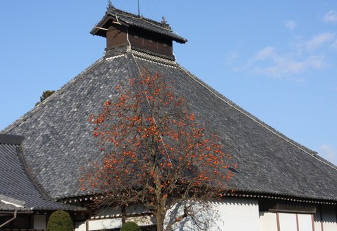 末広がりの松代のお寺の屋根