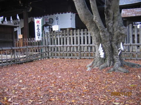 深まりゆく松代の秋