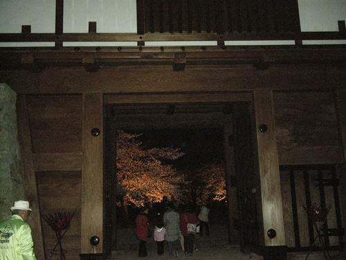 松代城夜桜