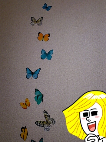 お部屋の模様替え( ̄▽ ̄;)