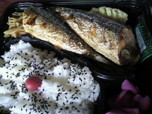 さんま弁当