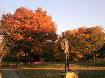 昭和の森公園