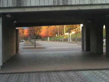 昭和の森公園
