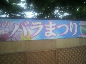 薔薇園