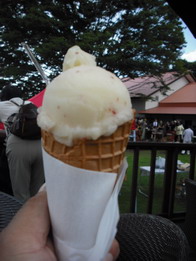 サンクゼール