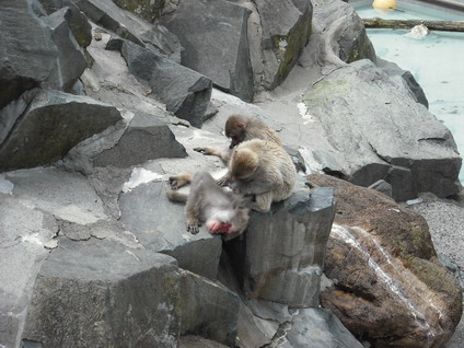 俺がボスだ!