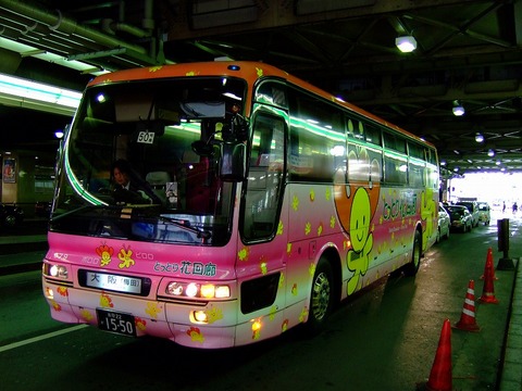 今日も寄り道