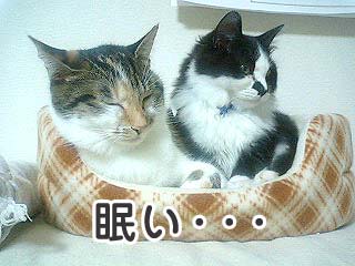 ね・・・