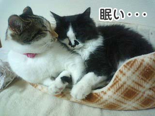 ね・・・