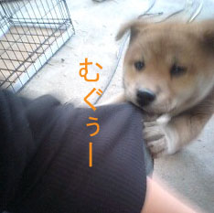 むぐむぐ