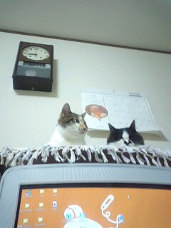 良い場所を見つけた